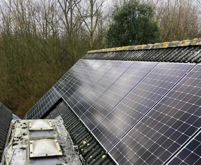 Bare trees near an installation in January 2025